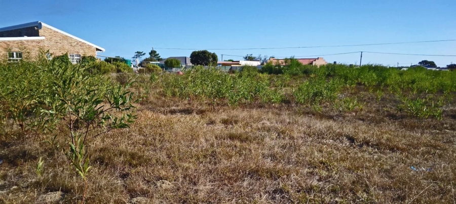 0 Bedroom Property for Sale in Fisherhaven Western Cape